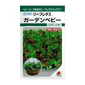 リーフレタスガーデンベビー (レタスの種) 小袋 約20ml ( 野菜の種 )