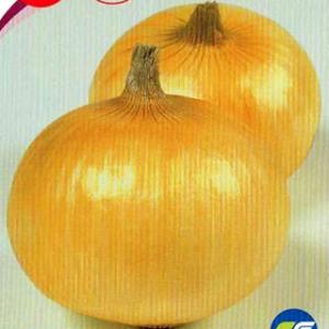 玉ねぎの種 トップゴールド320(たまねぎ) 小袋 ( 野菜の種 )