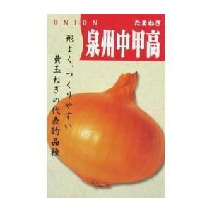 玉ねぎの種 泉州中高黄大玉葱(中生) 20ml ( 野菜の種 )