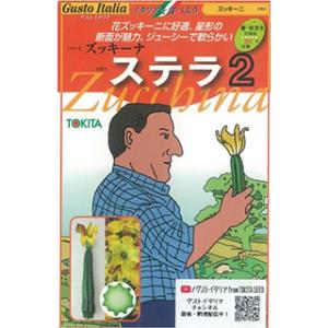 ズッキーニの種 ステラ２ 8粒 ( 野菜の種 )