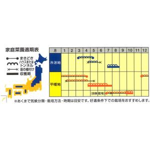 スイカの種 愛娘ひなた 小袋(7粒)の詳細画像1