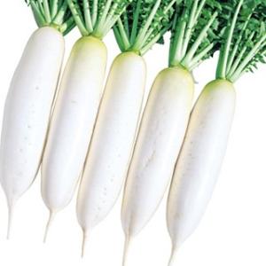 おでん 大根 種の商品一覧 通販 Yahoo ショッピング