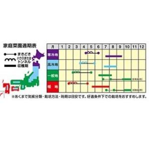トウモロコシの種 白いおおもの 約200粒 (...の詳細画像1