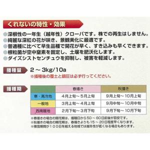 クリムソンクローバ くれない 500g 緑肥 種子の詳細画像1