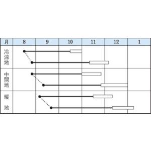 大根の種 耐病干し理想 小袋(18ml) ( ...の詳細画像1