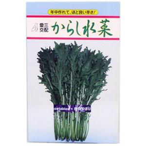 水菜の種 からし水菜 小袋(3ml)の商品画像