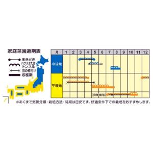 スイカの種 3×サンバSP(種なし) 小袋(1...の詳細画像1