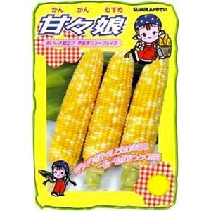 トウモロコシの種 甘々娘 200粒 かんかんむすめ : 菜園くらぶ Yahoo!店