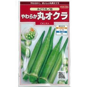 オクラの種 みどり丸ノ助 小袋 ( 野菜の種 )