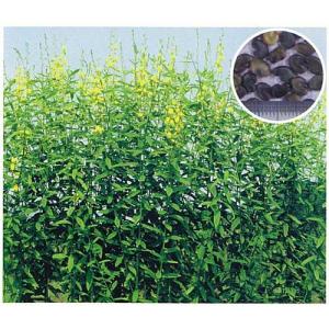 クロタラリア ネマコロリ 1kg