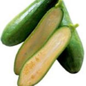 カボチャの種 韓国カボチャ マッチャン 実咲小袋 ( 野菜の種 )