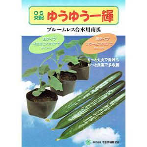 その他の種 台木ゆうゆう一輝　黒タイプ 50粒｜saien-club