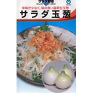 スーパーアップ サラダタマネギ 種子 20ml 3つセット たまねぎの種 サラダ玉葱 20ml ( 野菜の種 ) : 菜園くらぶ Yahoo!店