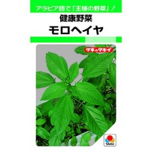 SK9-099 ブロッコリー種子 ペレット5000粒 【野菜種子】【サカタのタネ