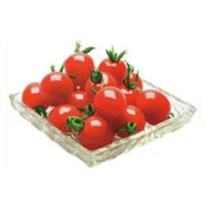 ミニトマトの種 プレミアムルビー 100粒 ( 野菜の種 )