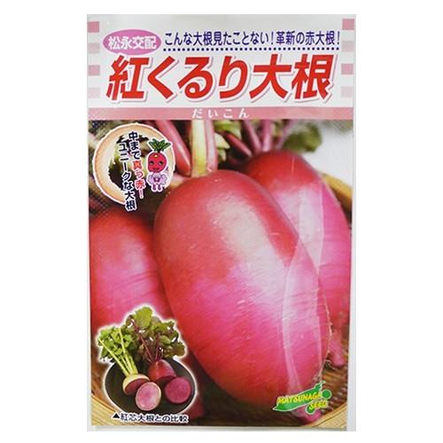 大根 種 【紅くるり】 20ml ( 野菜の種 )