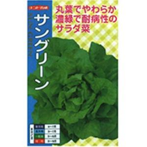 レタスの種 サングリーン 20ml ( 野菜の種 )