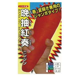 人参の種 晩抽紅奏 小袋 ( 野菜の種 )