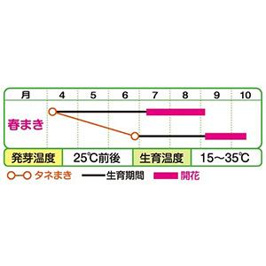 ひまわりの種 大輪一重咲き黄色 1Lの詳細画像1