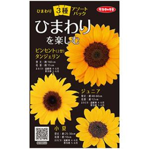 ひまわりの種 F1サンリッチオレンジ 徳用パック FHM602 : 菜園 ひまわりの種 F1サンリッチオレンジ 徳用パック FHM602 : 菜園