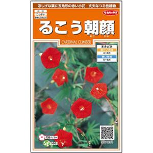 朝顔の種 るこう朝顔(カーディナルクライマー)...の詳細画像1