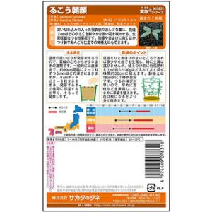朝顔の種 るこう朝顔(カーディナルクライマー)...の詳細画像2