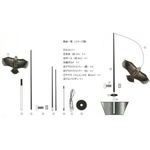 鳥追いカイト鷹(ポール竿付) 凧 防鳥具 防獣...の詳細画像3