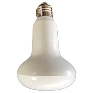 TOSHIBA（東芝） 電照ランプ アグリ 菊、いちご等 電照栽培用 DENS100