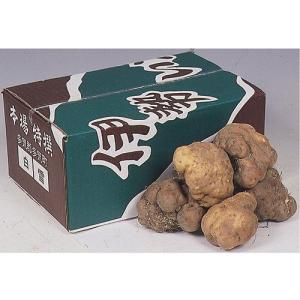 伊勢芋 2kg 三重県産