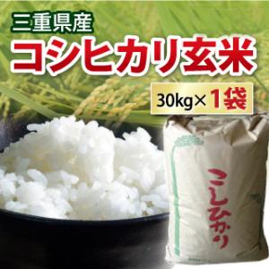 コシヒカリ 玄米 30kg 令和7年産 三重県産 新米 こしひかり 米 コメ お米 30キロ