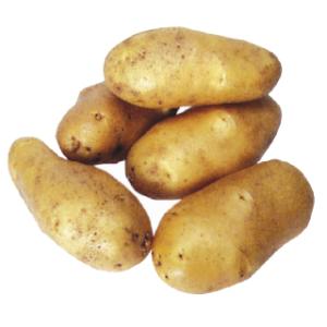 じゃがいも（馬鈴薯） 高級メークイン 種芋 種いも 10kg入り