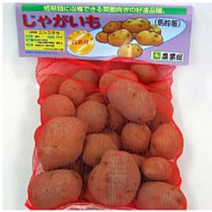 じゃがいも(馬鈴薯) 西豊 種芋 種いも 2k...の詳細画像1