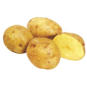 じゃがいも（馬鈴薯） キタアカリ(きたあかり） 種芋