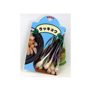 国産 ラッキョウ 球根 落橋 （らっきょう） 種球 種球 約200ｇ