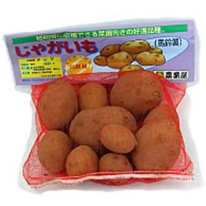 じゃがいも(馬鈴薯) 出島 種芋 種いも 1k...の詳細画像1