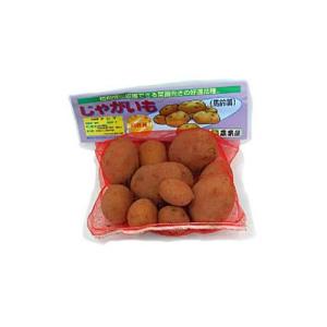 じゃがいも（馬鈴薯） 出島 種芋 種いも 500g入り （販売）春