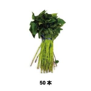 サツマイモの苗 紅アズマ 50本 予約販売の詳細画像1