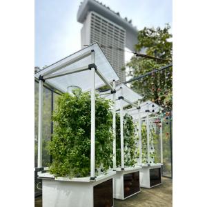 水耕栽培 アクアポニックス キット 大型 CU...の詳細画像1