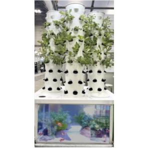 水耕栽培 アクアポニックス キット 大型 CU...の詳細画像2