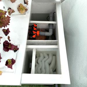 水耕栽培 アクアポニックス キット 大型 CU...の詳細画像5