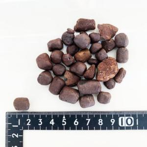 ハイドロカルチャー レカトン ハイドロボール ...の詳細画像1