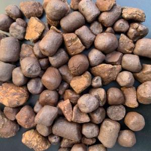 ハイドロカルチャー レカトン ハイドロボール ...の詳細画像4