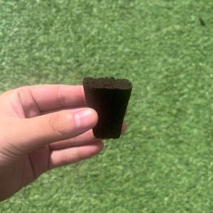育苗培地 深溝タイプ 3,600個（72個/シート×10シート×5箱）アクアポニックス 水耕栽培