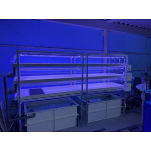 育苗用LEDライト 青白スペクトル 120cm ...の商品画像