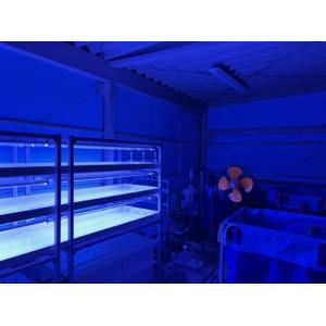 育苗用LEDライト 青白スペクトル 120cm...の詳細画像1