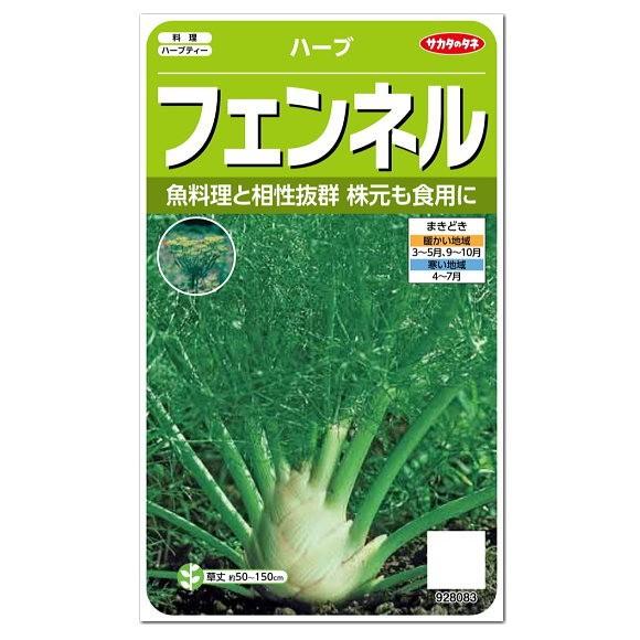 サカタのタネ ハーブ  フェンネル  種  耐寒性1〜2年草 家庭菜園 料理用 フェンネルのタネ た...