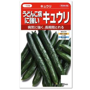 サカタのタネ うどんこ病に強いキュウリ 種 家庭菜園 胡瓜 きゅうりのタネ