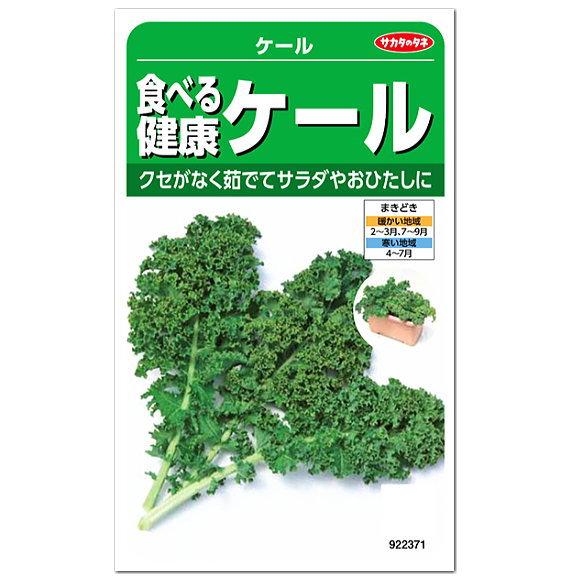 サカタのタネ 食べる健康ケール 種 家庭菜園 あおじる ケールの種 たね 種子 緑黄色野菜 メール便...