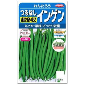 サカタのタネ つるなし 超多収インゲン れんたろう 種 家庭菜園 隠元 いんげん