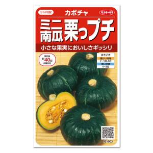 サカタのタネ ミニカボチャ 栗坊 種 メール便対応 家庭菜園 ミニ野菜 かぼちゃ